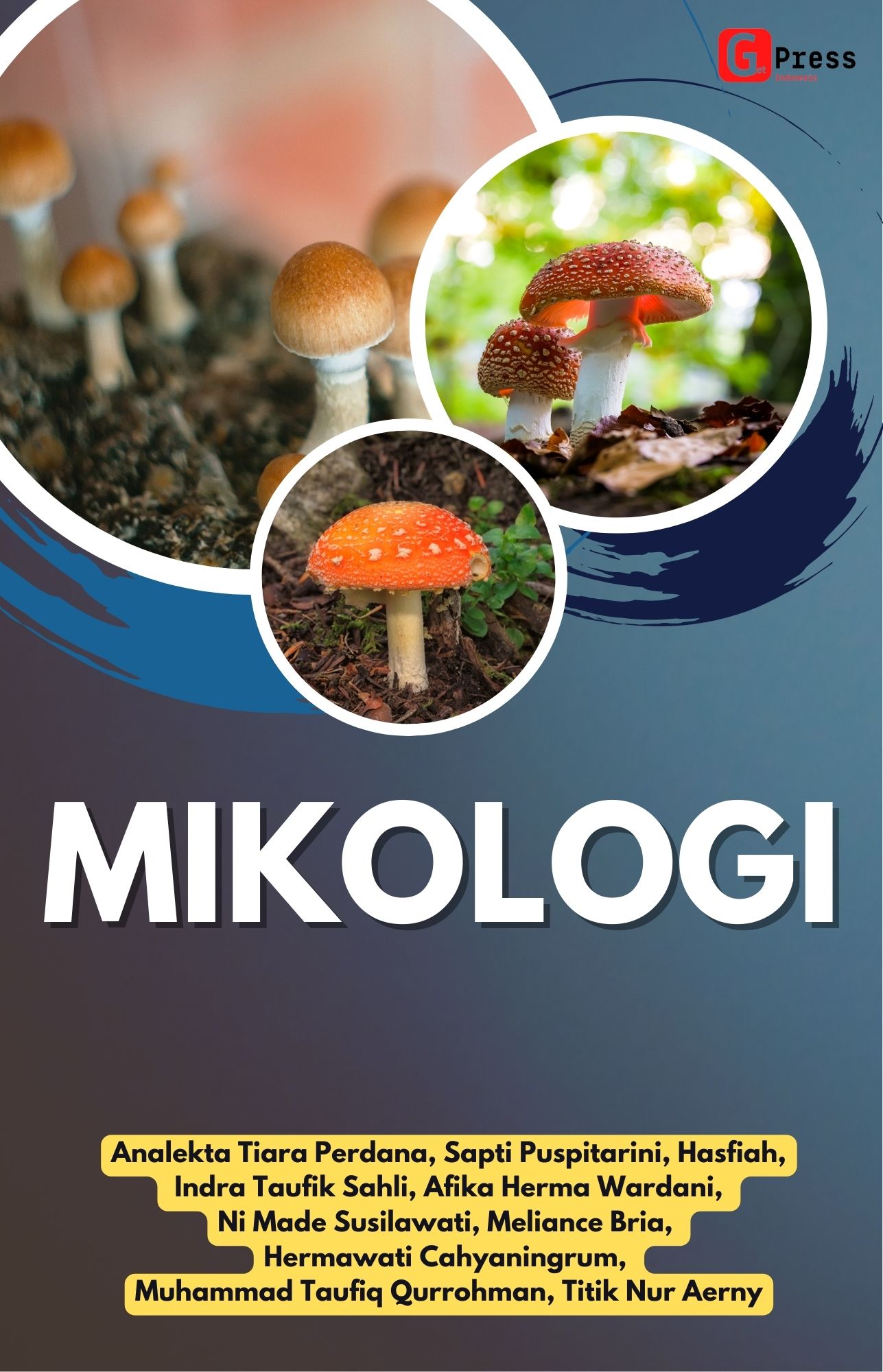 Mikologi